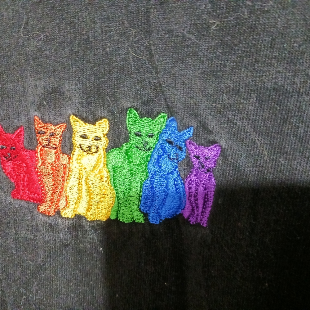 Crazzy cat lady Gay Pride Hanes T shirt🏳️‍🌈